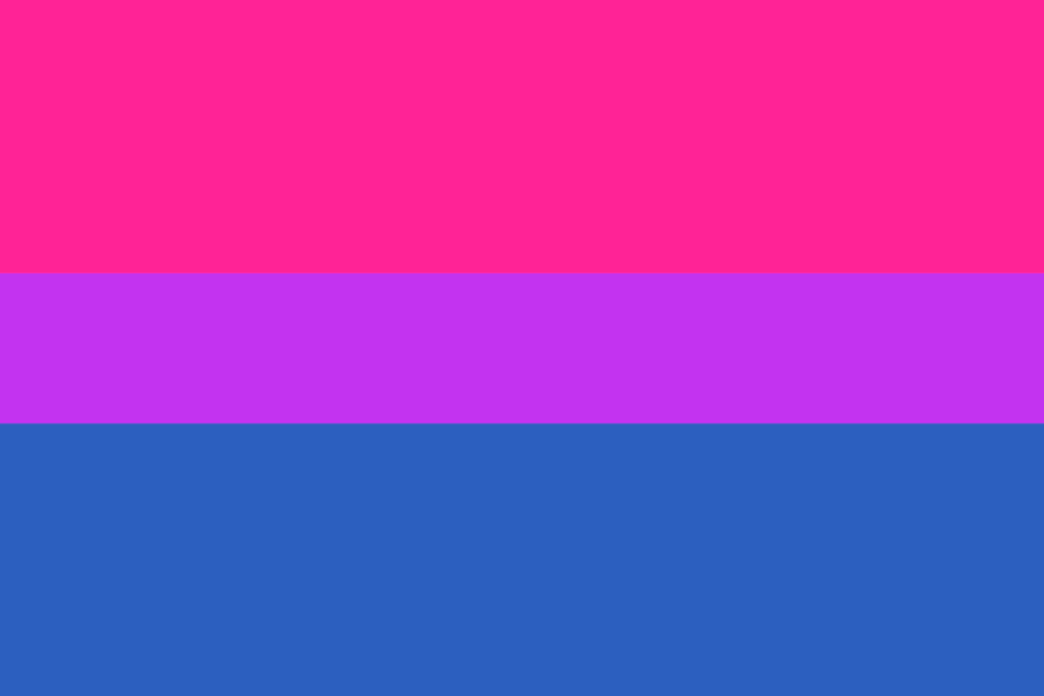 Bandera bisexual