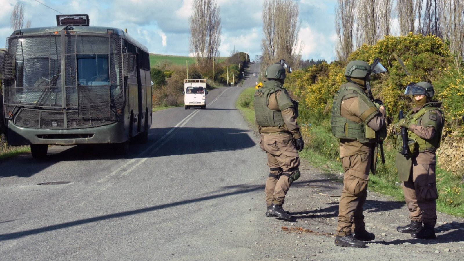 Cinco detenidos vinculados a la Resistencia Mapuche Malleco en Temucuicui