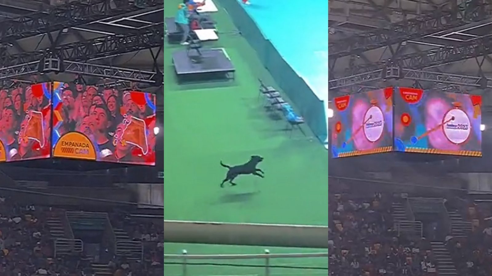 Sorpresas al público del Movistar Arena.