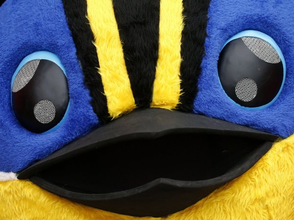 Fiu disfraces de Halloween.