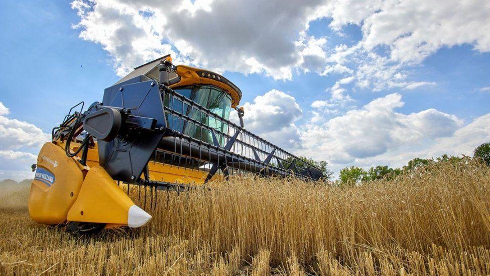 maquinaria cosechando trigo