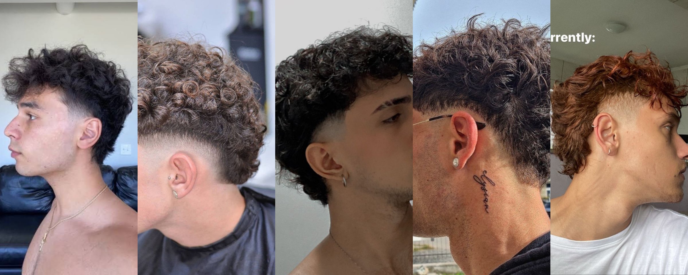 Corte mullet. Pelo risado.