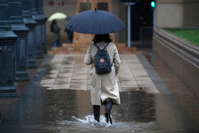 Persona con paraguas bajo la lluvia