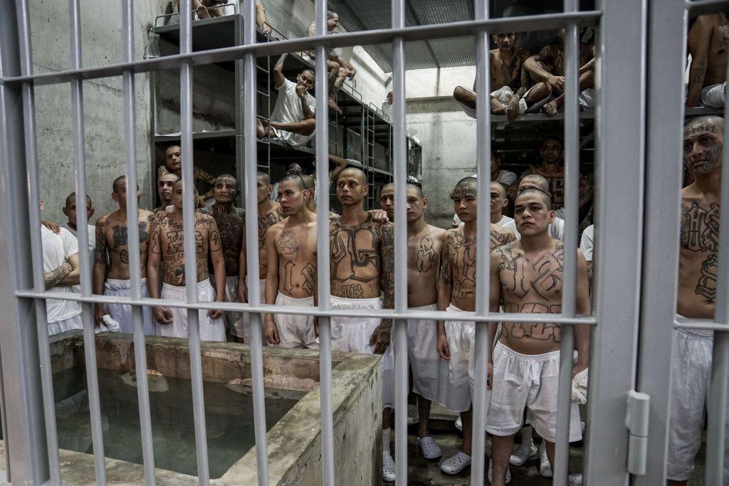 Presuntos pandilleros presos en la megacárcel del Cecot en El Salvador
