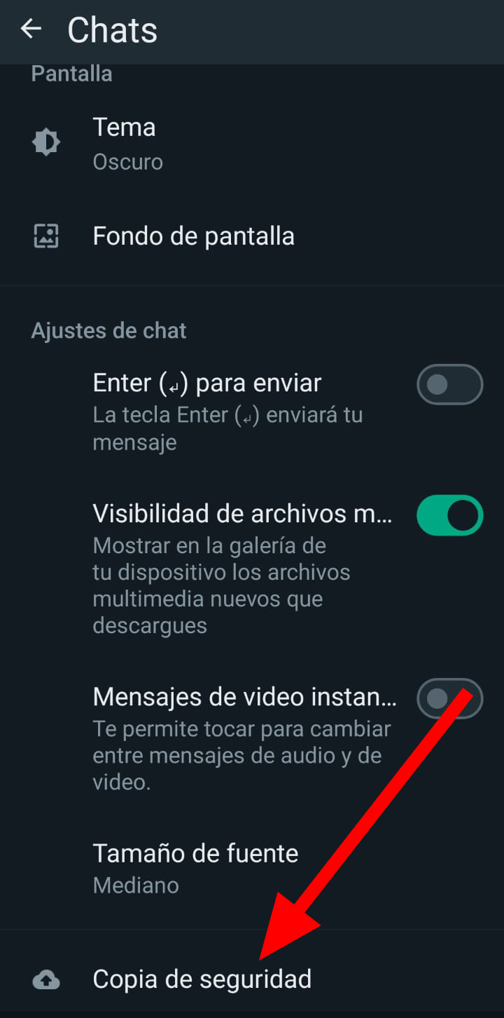 Copia de Seguridad en ajustes de WhatsApp