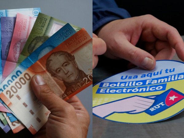 Bolsillo familiar electrónico extendido.