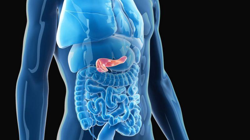 Imagen tridimensional del cuerpo humano