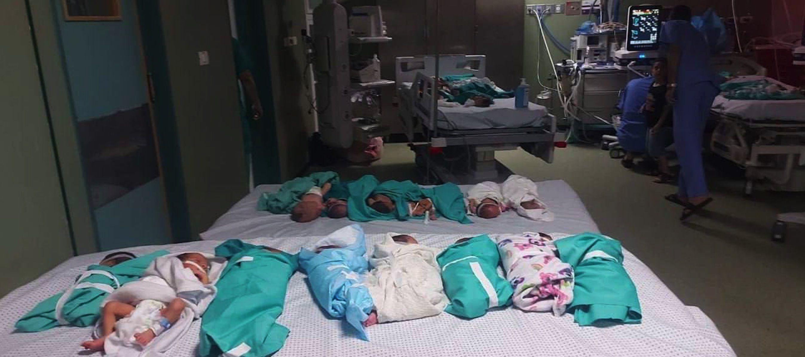Bebés prematuros en la Unidad de Cuidados Intensivos del hospital Al-Shifa