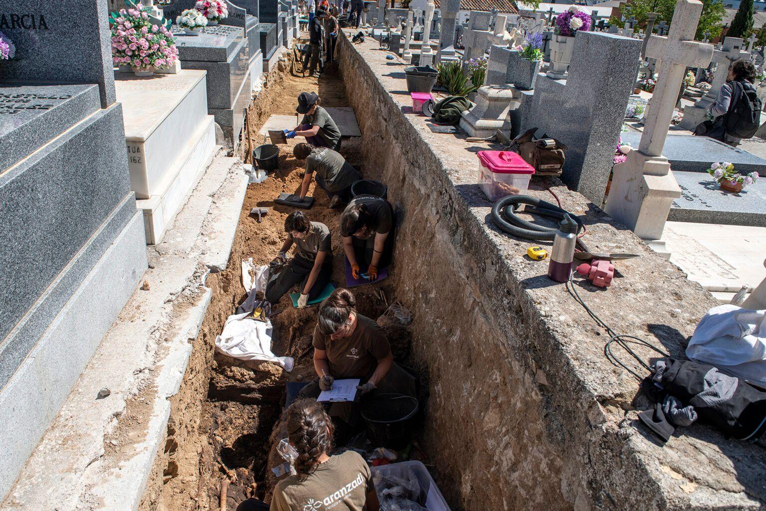 Jornada de excavación