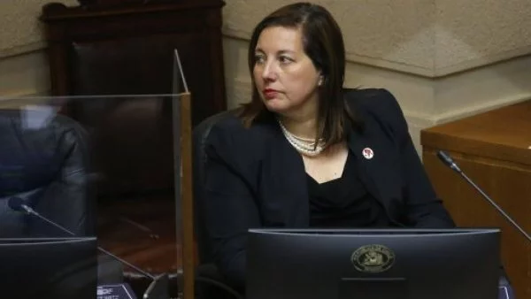 Paulina Vodanovic, presidente del PS.