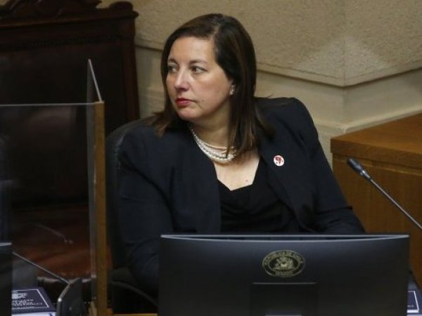 Paulina Vodanovic, presidente del PS.