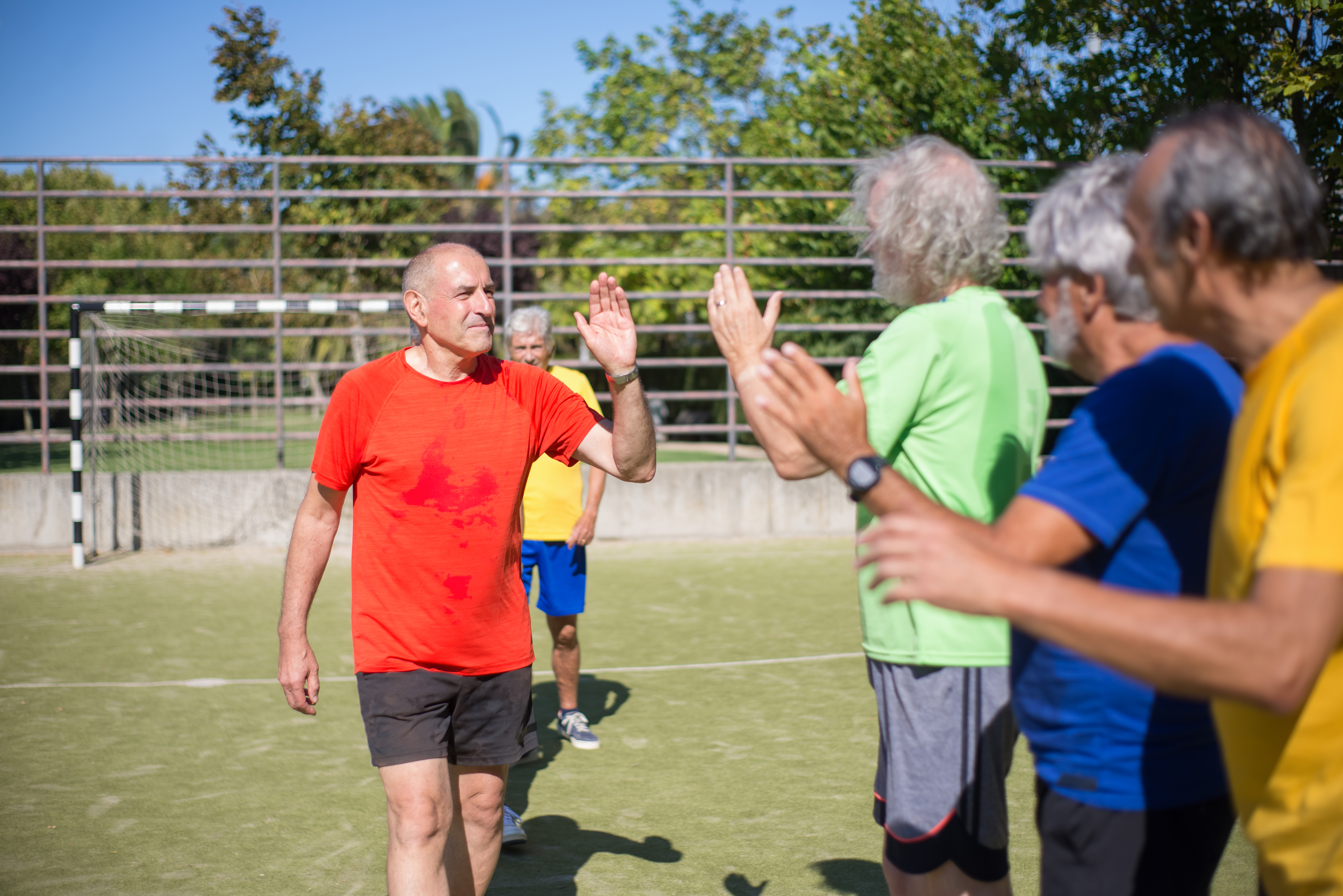 Fútbol senior