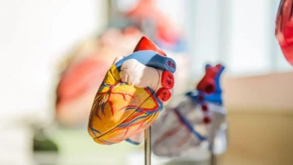 Estudio enfermedades cardiacas y personas con depresión y ansiedad. 2023.