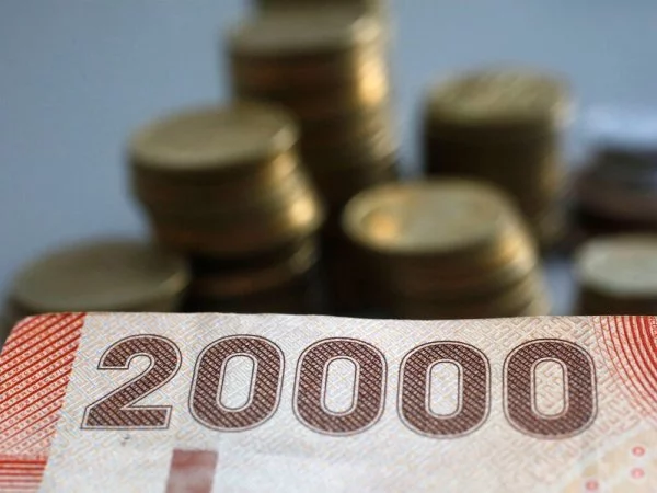 Billetes y monedas. Bonos de noviembre.