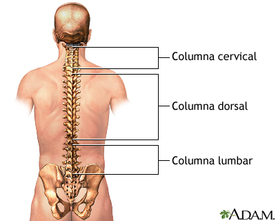 Región lumbar - dolor lumbar