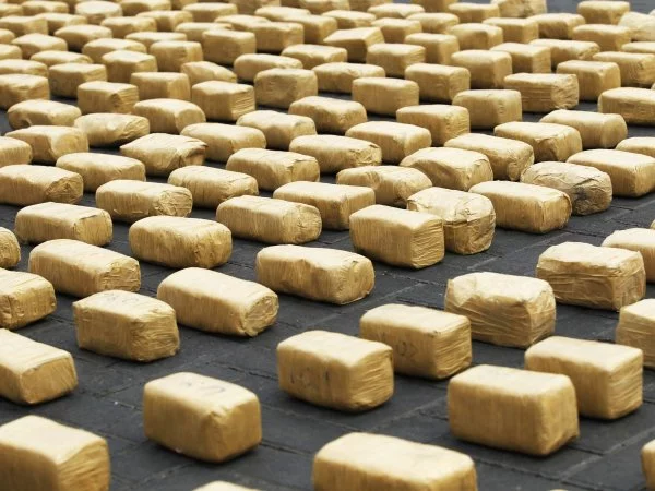 Hermanos mexicanos condenados por intentar instalar cartel Sinaloa en Chile