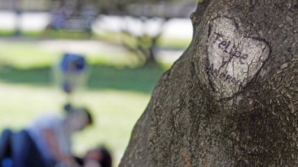 ¿Cómo volver con mi ex? 10 consejos clave