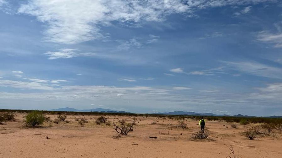 Desierto de Sonora