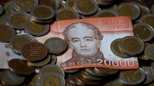 Reajuste del sector público 2024.