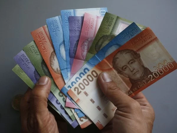 Cómo recibir dinero de la colusión de los pollos.