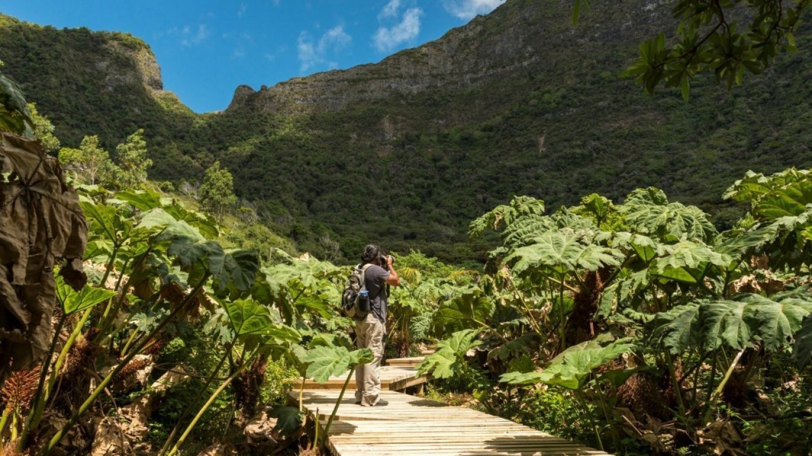 "Oscar del Turismo": Chile se posiciona por segundo año como el Mejor Destino Verde del Mundo