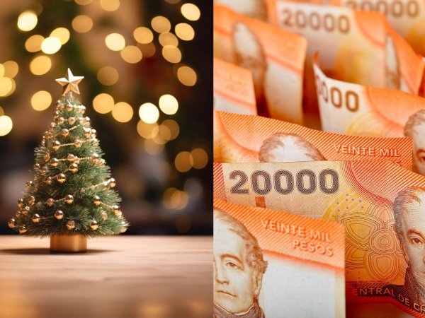 Billetes. Bonos de diciembre.