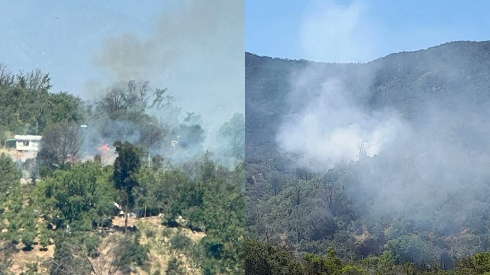 declaran Alerta Roja para la comuna de Curacaví por incendio forestal