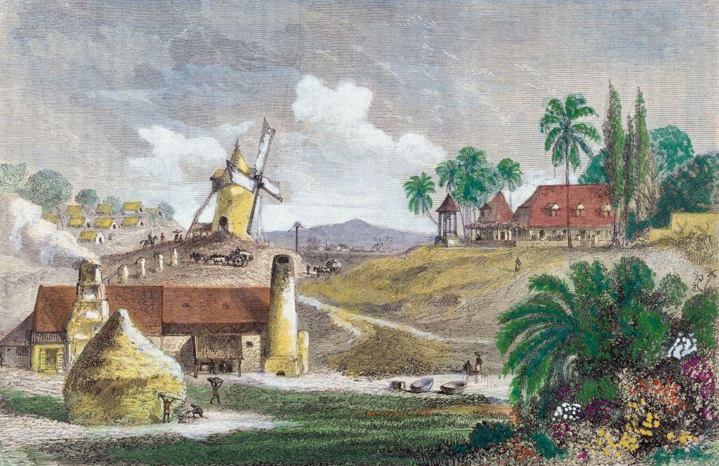Dibujo de Martinica.