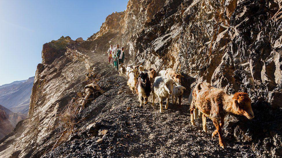 Mujeres y su rebaño caminando por un sendero de montaña estrecho y accidentado