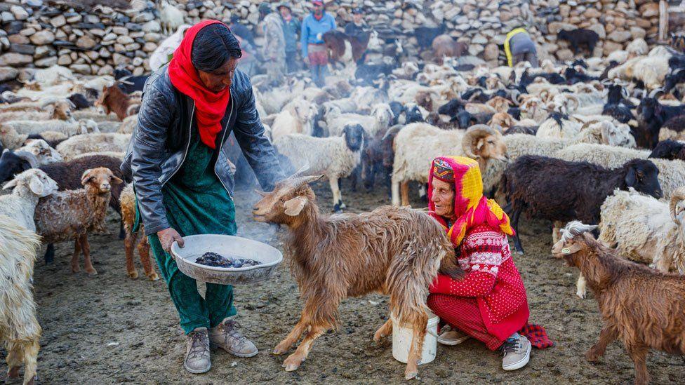 Pak Daman (izquierda) y Annar (derecha) rodeados de animales