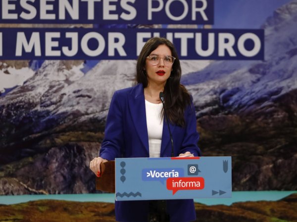 Plebiscito: Vallejo descarta intervencionismo en campaña