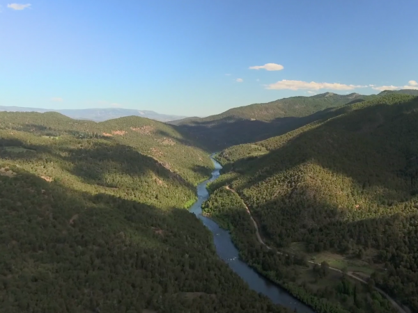 Guardinaes, Lonquimay, 2023.