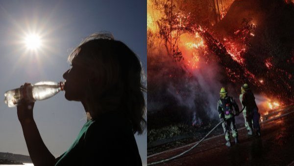 Incendios forestales y el factor 30-30-30.