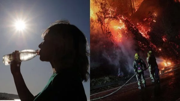 Incendios forestales y el factor 30-30-30.