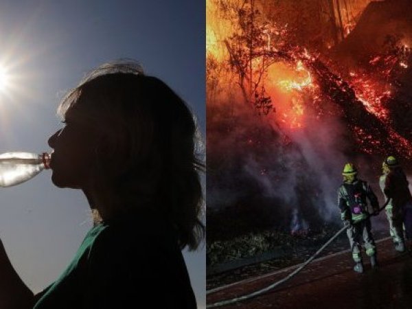 Incendios forestales y el factor 30-30-30.