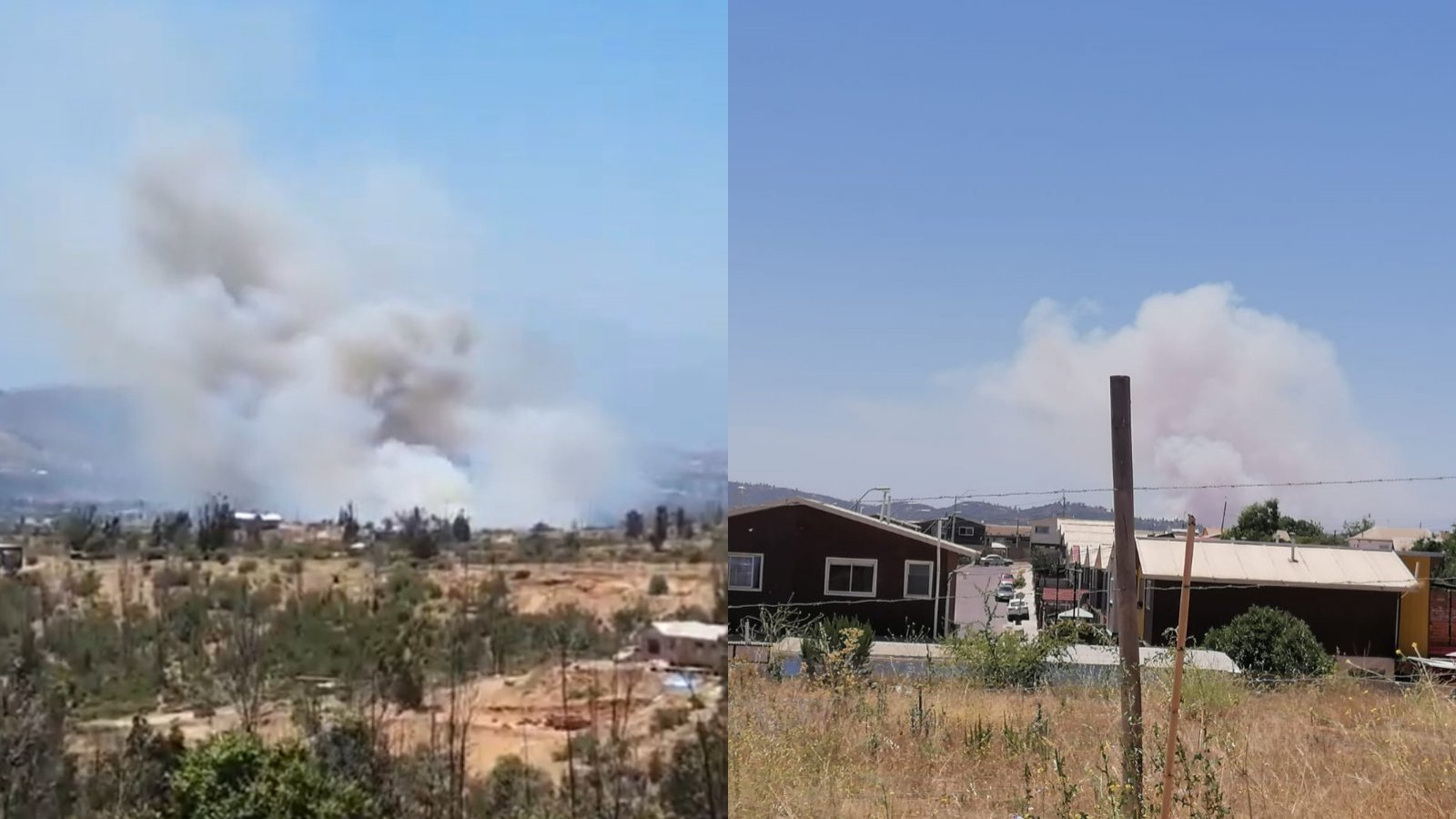 Senapred declara Alerta Roja para Limache por incendio forestal