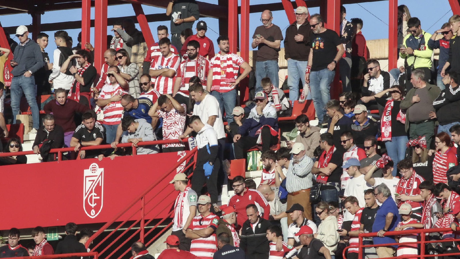 Hinchas del Granada