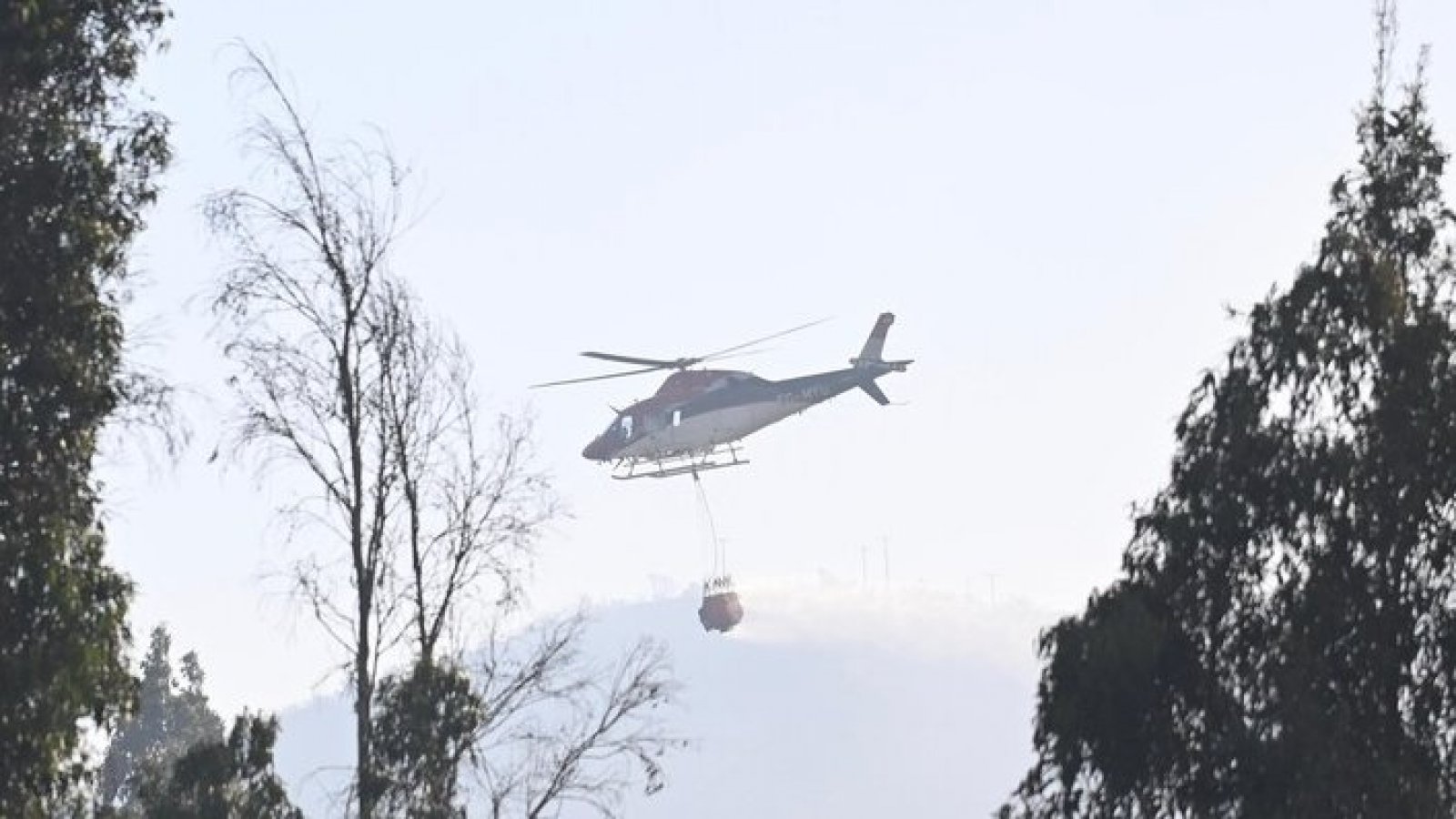 Declaran Alerta Roja para la comuna de La Estrella por incendio forestal