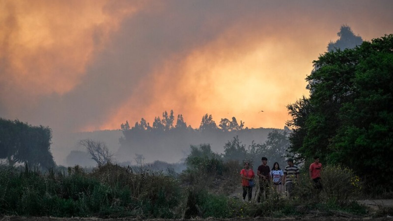 Incendios forestales en Chile