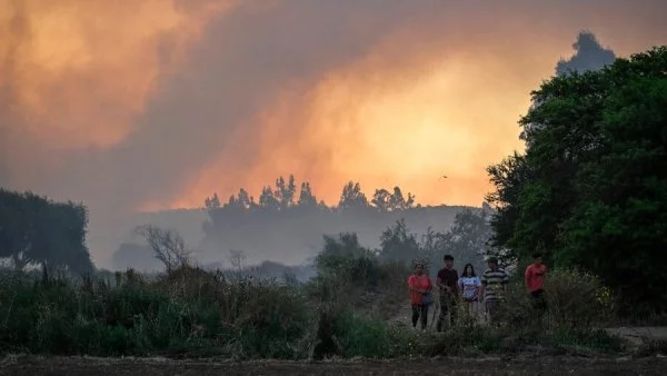 Incendios forestales en Chile