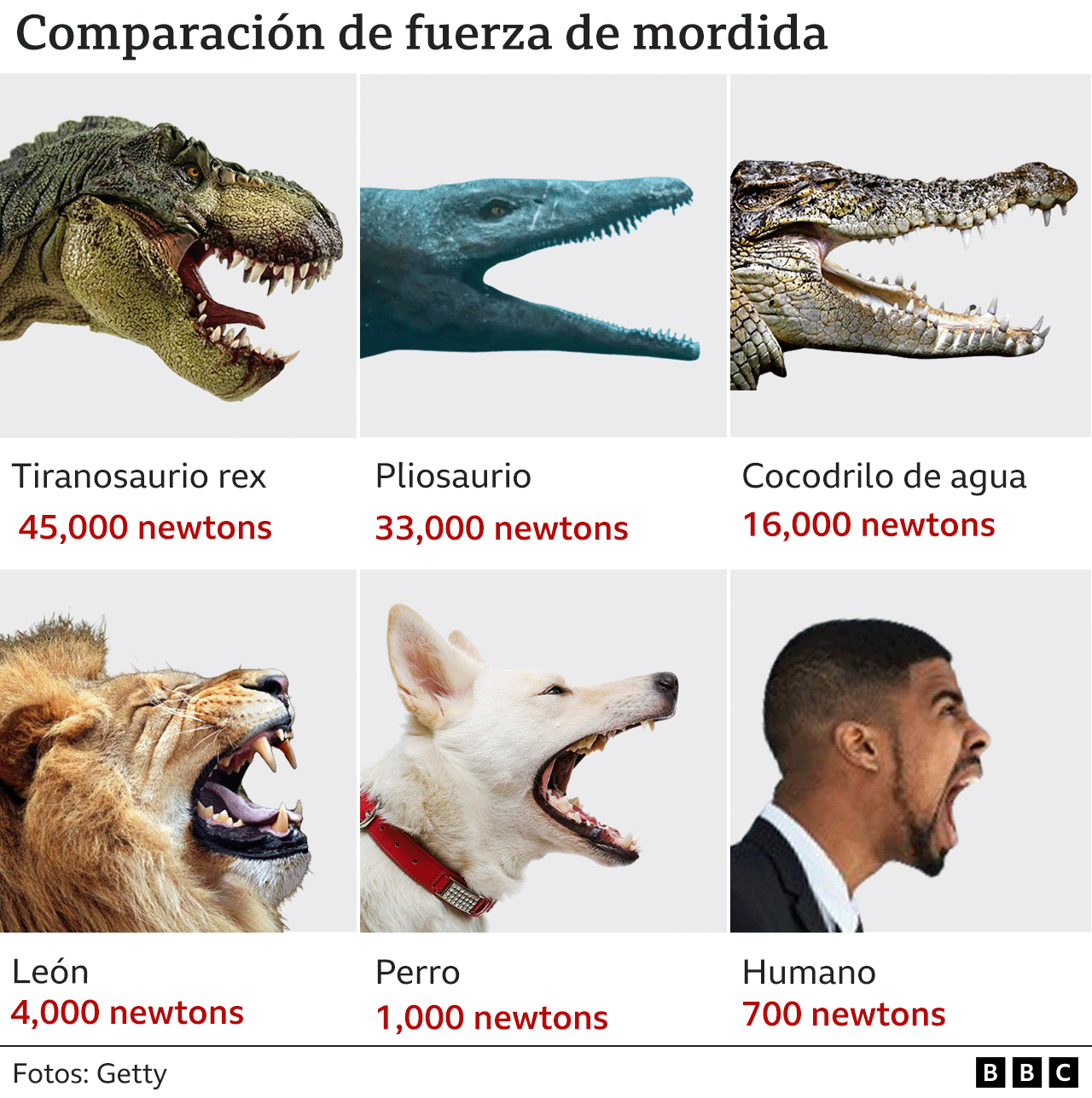 Gráfico comparativo de mordidas de animales