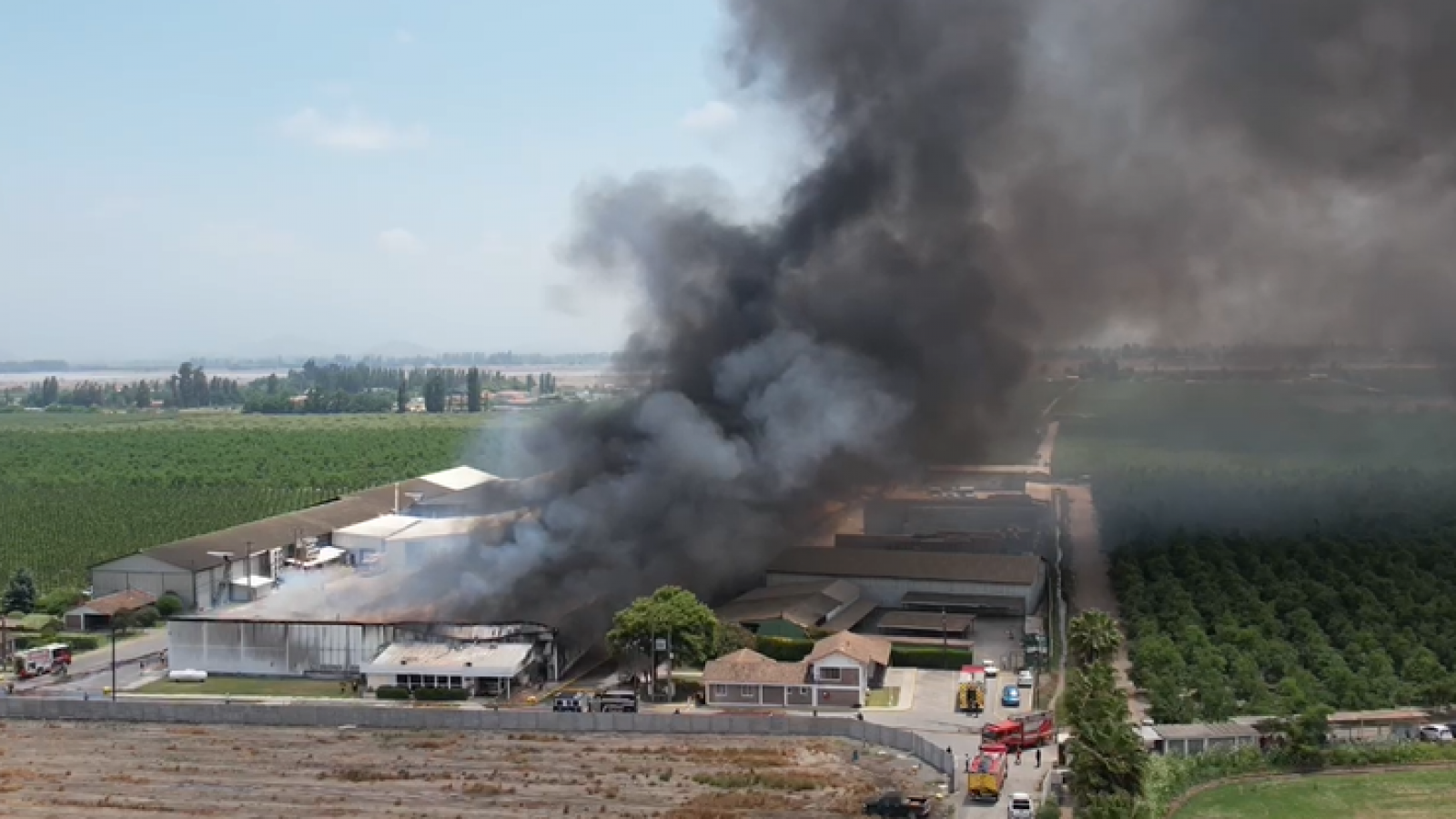 Incendio empresa de packing en Olivar.