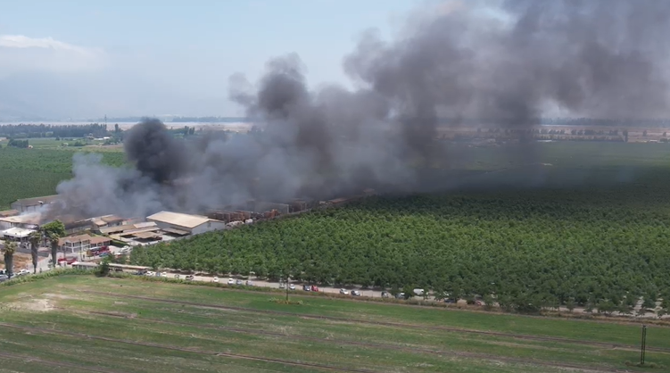 Incendio en el Olivar.