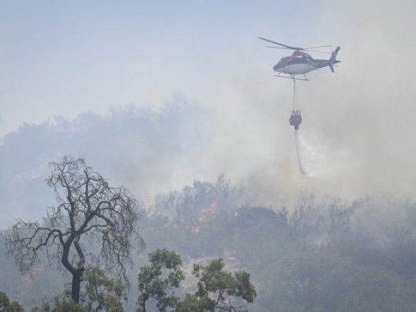 Incendios forestales en Chile
