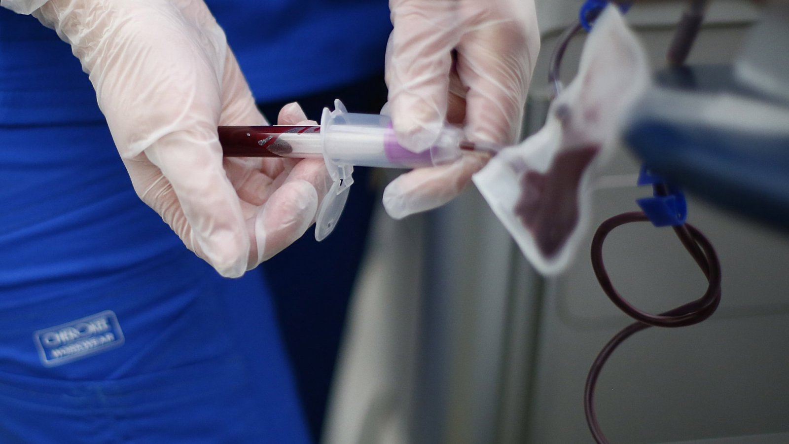 Madre se opone: Corte ordena transfusión de sangre a niño para salvar su  vida | 24horas
