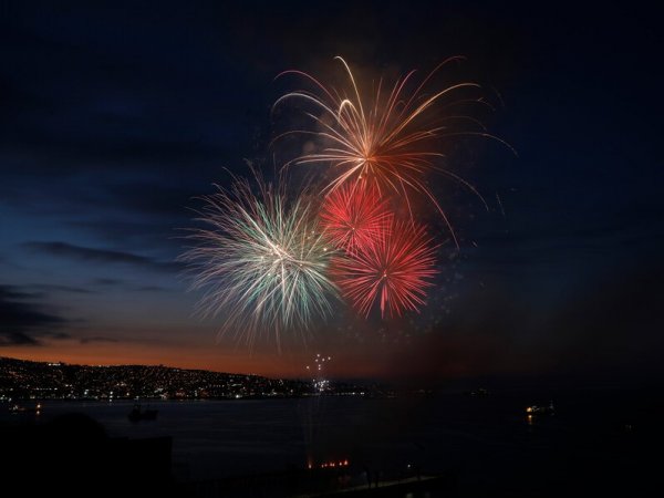Feriado de Año Nuevo. Fuegos artificiales.