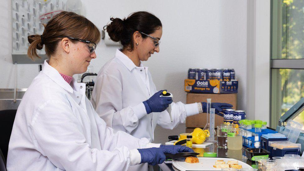 Dos científicas trabajando en el laboratoriode Oobli.