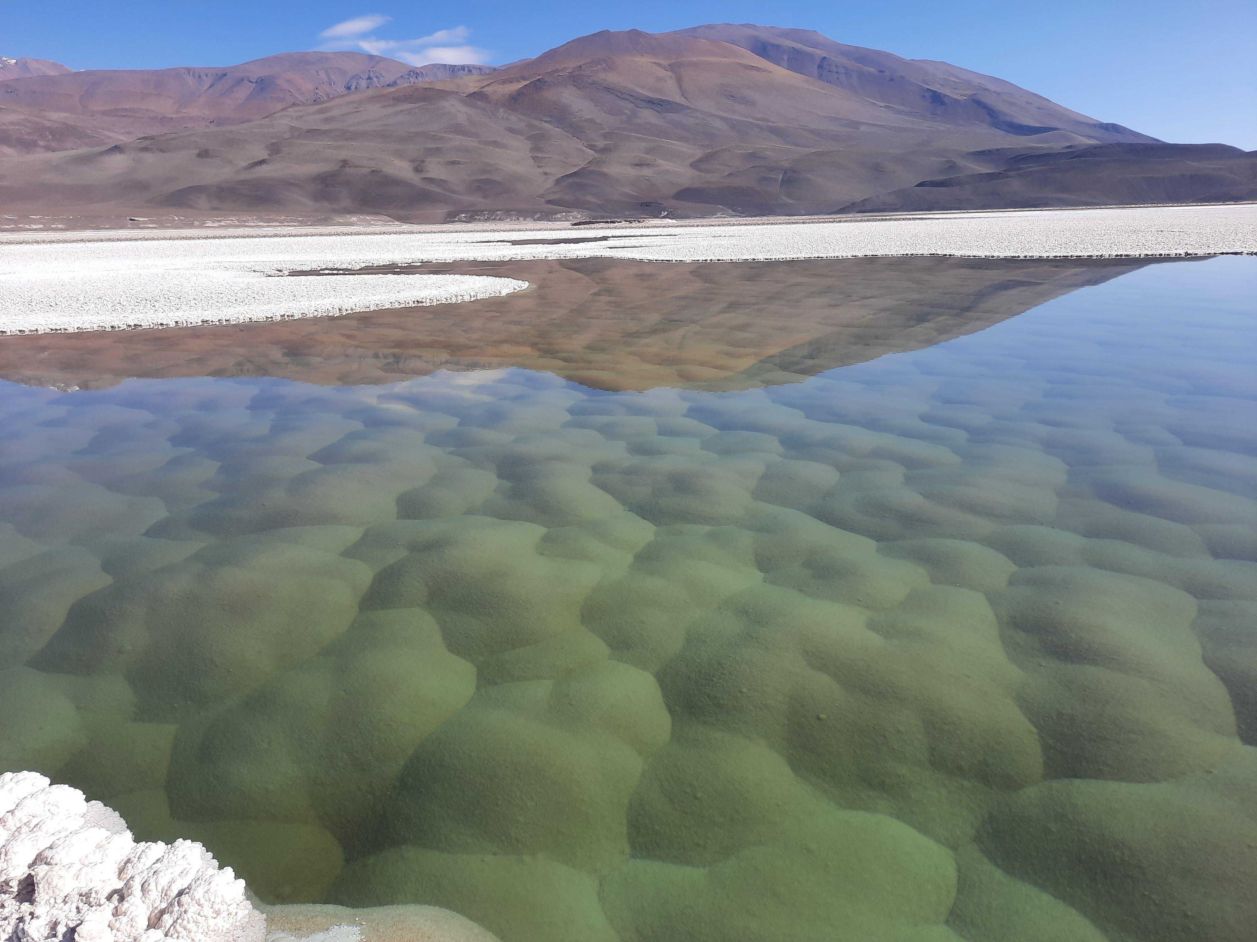 Puna de Atacama