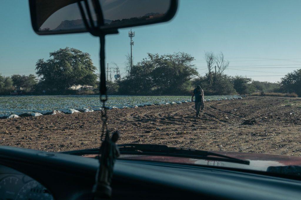 Un campo de cultivo en el Estado de México