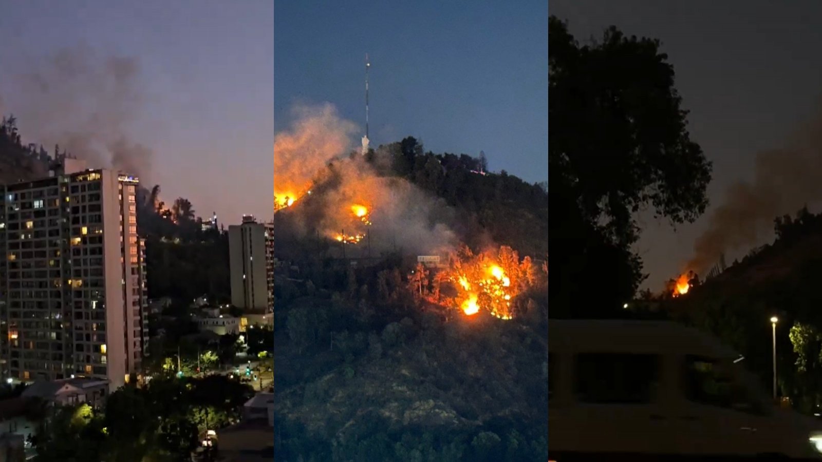 Reportan incendio forestal en Cerro San Cristóbal